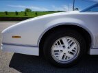 Thumbnail Photo 7 for 1984 Pontiac Firebird Trans Am Coupe